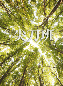 HD手机免费观看完整